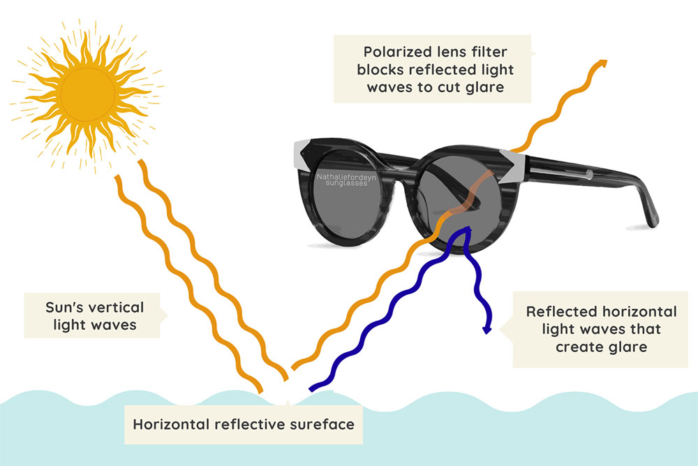 Everything You Need To Know About Polarized Lenses 7982